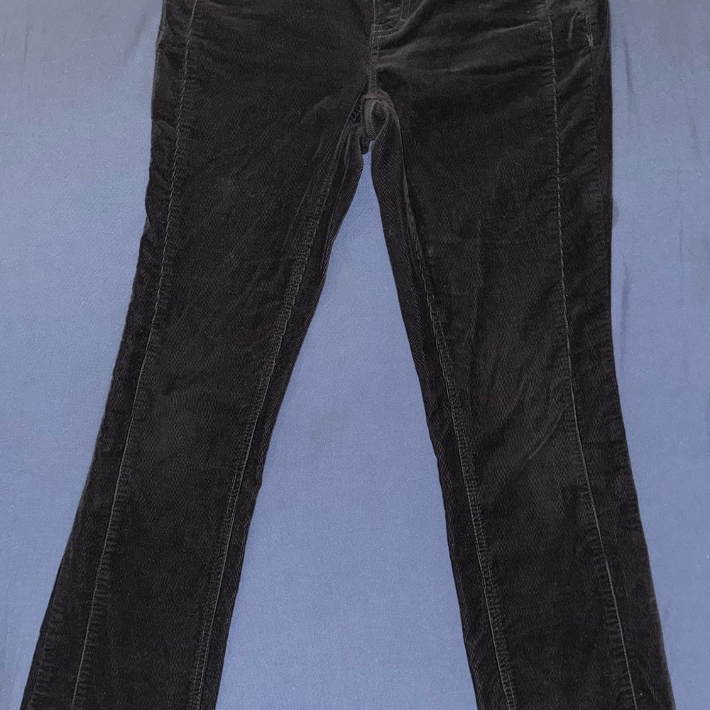 White House Black Market Black Velvet Flare Pants